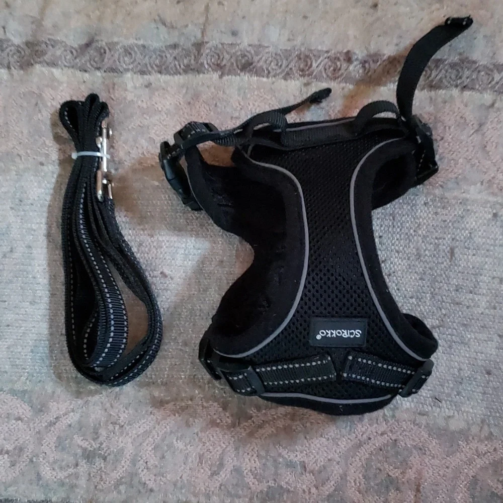 Small cat harness with matching leash NWOT